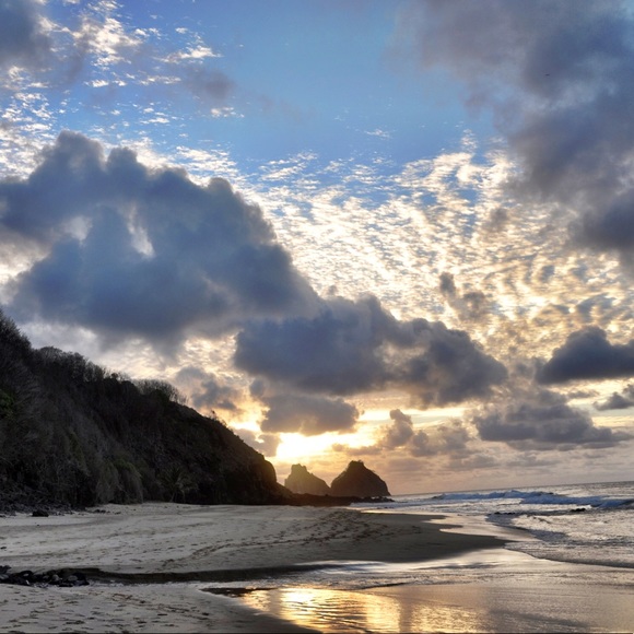 Meet your Posher, Maven 🌟 - Picture 3 of 5